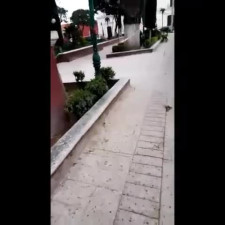 Ximenitaa's public trailer by Verified Amateurs