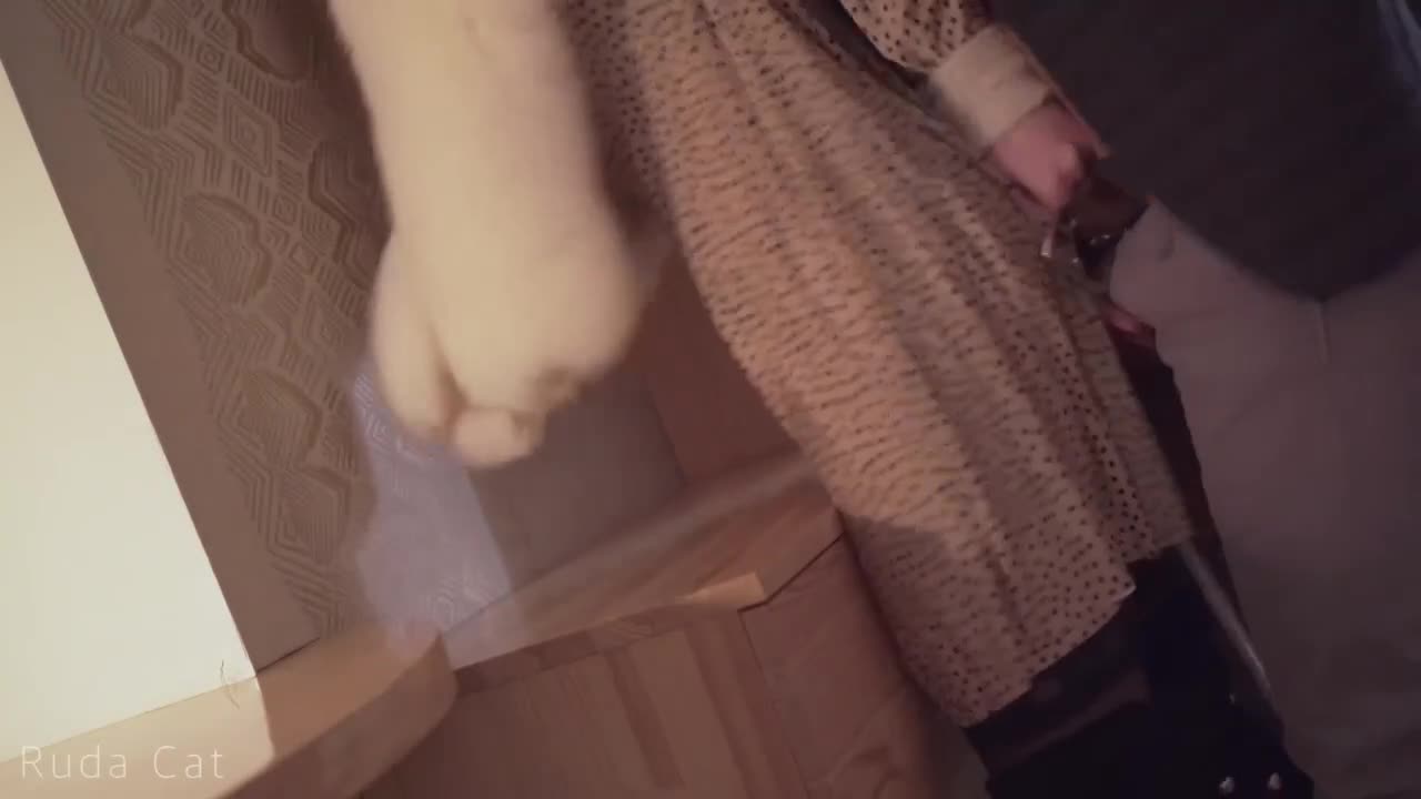 Bondage action with rosy Cat and Ruda Cat from Free Porn Videos | BestPornHubs.