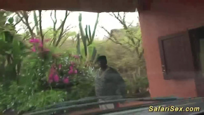 Safari Sex - public action