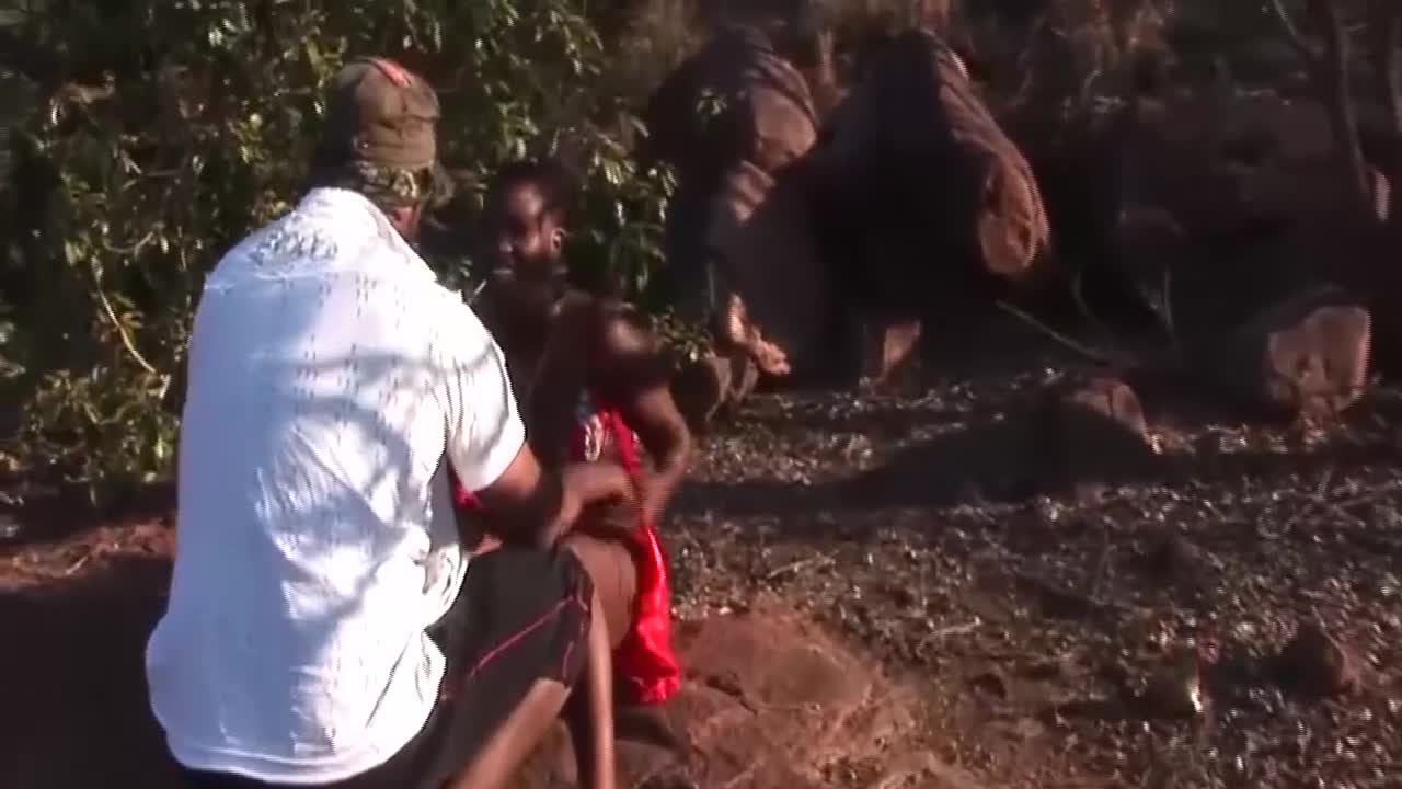 Kitten's african smut by Safari Sex Free Porn Videos | BestPornHubs.