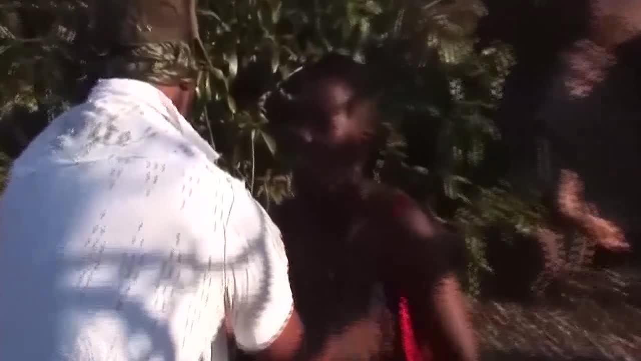 Safari Sex - safarisex clip Free Porn Videos | BestPornHubs.