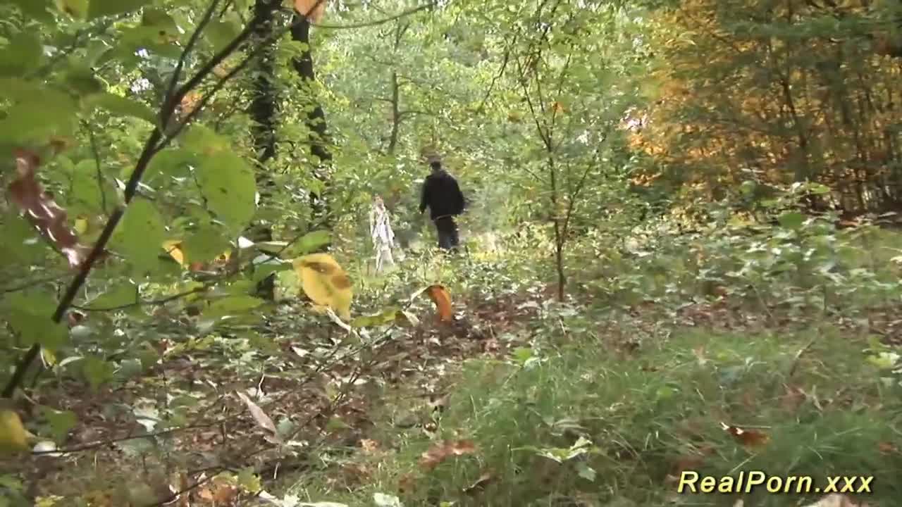 Puss's wood clip Free Porn Videos | BestPornHubs.