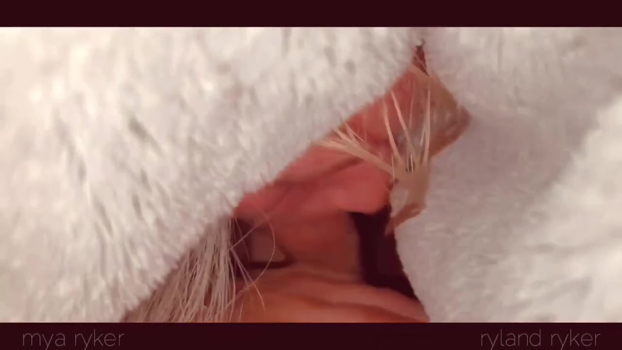 Verified Amateurs - sneaky movie Free Porn Videos | BestPornHubs.