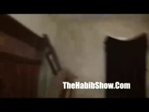 The Habib Show - babe movie