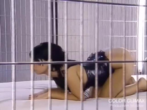Conquering dear's anal clip