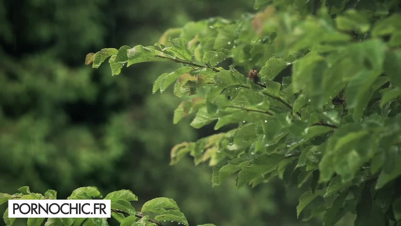 Flirtatious Cherry Kiss - threesome video - PORNOCHIC Free Porn Videos | BestPornHubs.