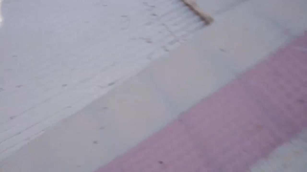 Bouncy Miss's big tits clip Free Porn Videos | BestPornHubs.
