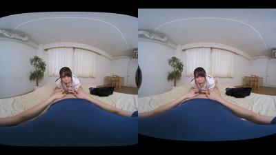 Plastic puss's japanese clip